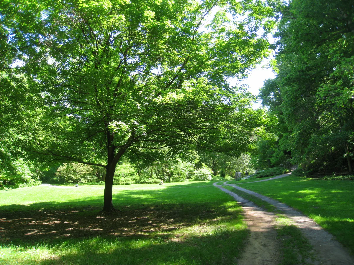 Botanical Gardens at Asheville, Asheville
